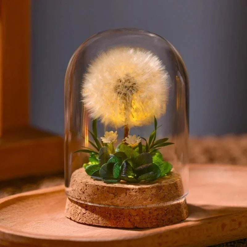 Dried Flower Glass Dome Night Light