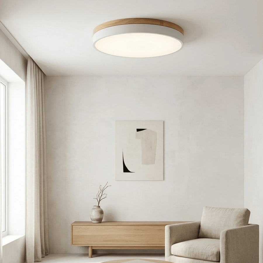 Round Disc Flush Mount Ceiling Light – image 3