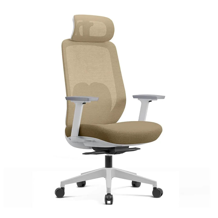 Ergonomic High Back Mesh Office Chair