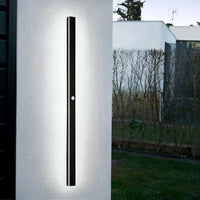 White Light with Motion Sensor