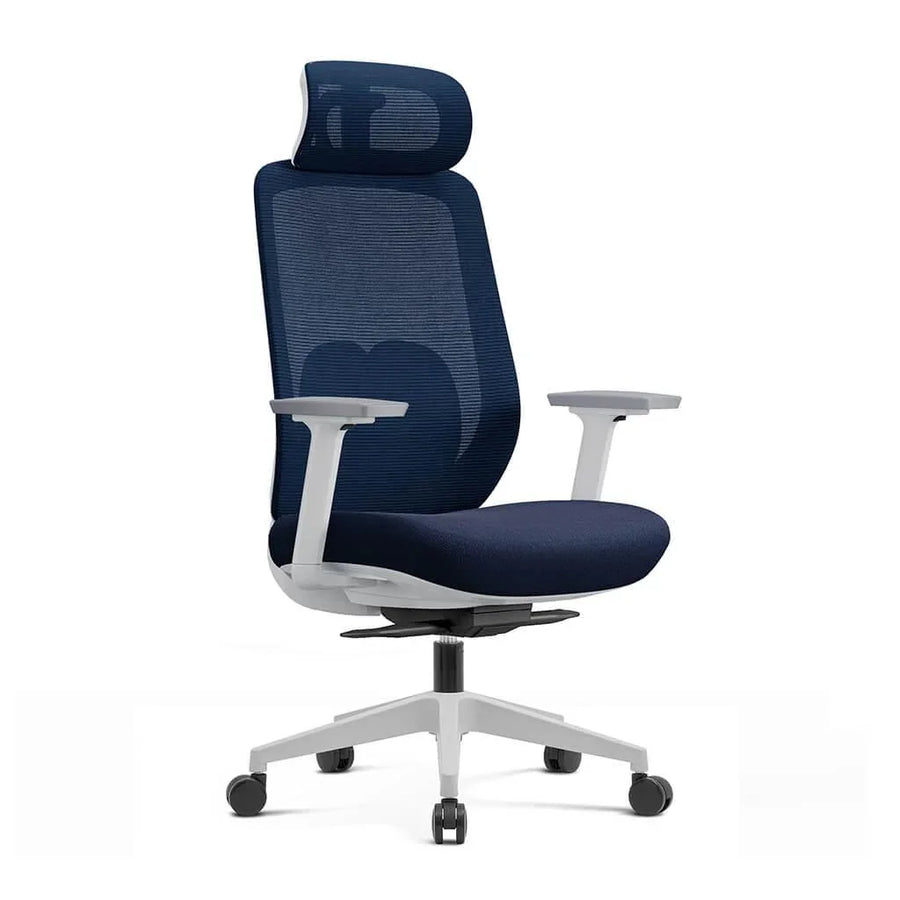 Arden Ergonomic Mesh Office Chair