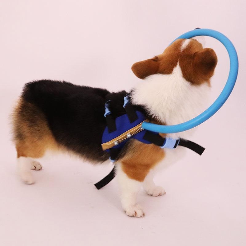 Blind dog halo harness with bumper ring