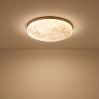 Light Wood