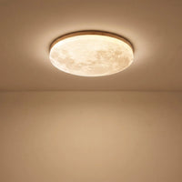 Light Wood