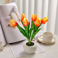 6 Orange Tulips