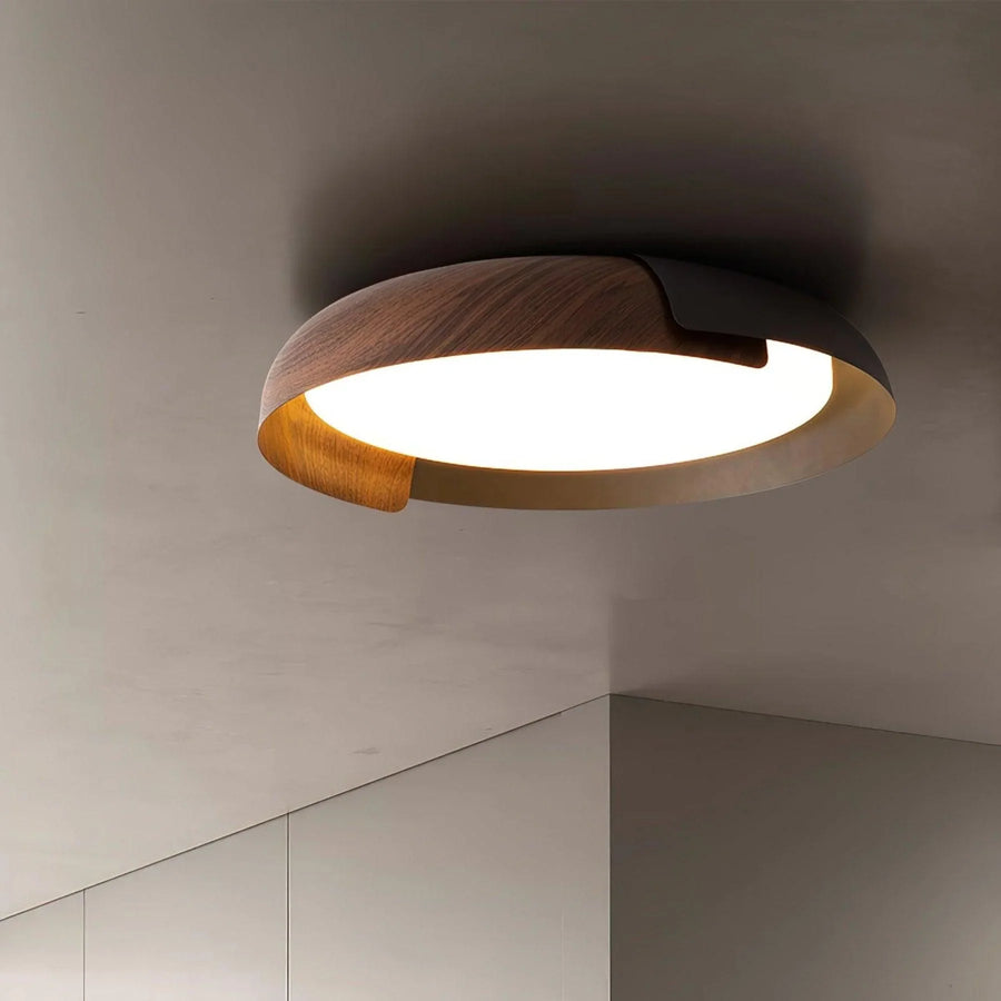 Two-tone LED ceiling light