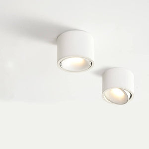 Warm Light (3000K)