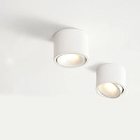 Warm Light (3000K)