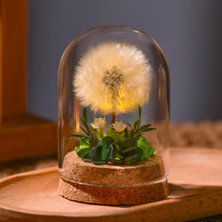 Dried Flower Glass Dome Night Light