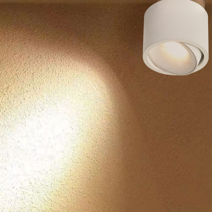 Modern Minimalist Aluminum Round Spotlight Adjustable LED Flush Mount Ceiling Light For Living Room