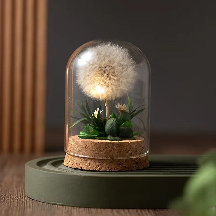 Dried Flower Glass Dome Night Light