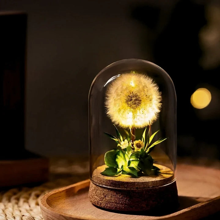 Dried Flower Glass Dome Night Light