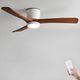 Elaerine Ceiling Fan Light