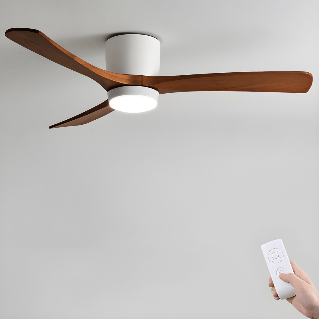 Elaerine Ceiling Fan Light