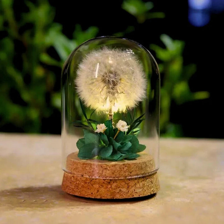 Dried Flower Glass Dome Night Light