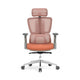 Premium High Back Mesh Office Chair