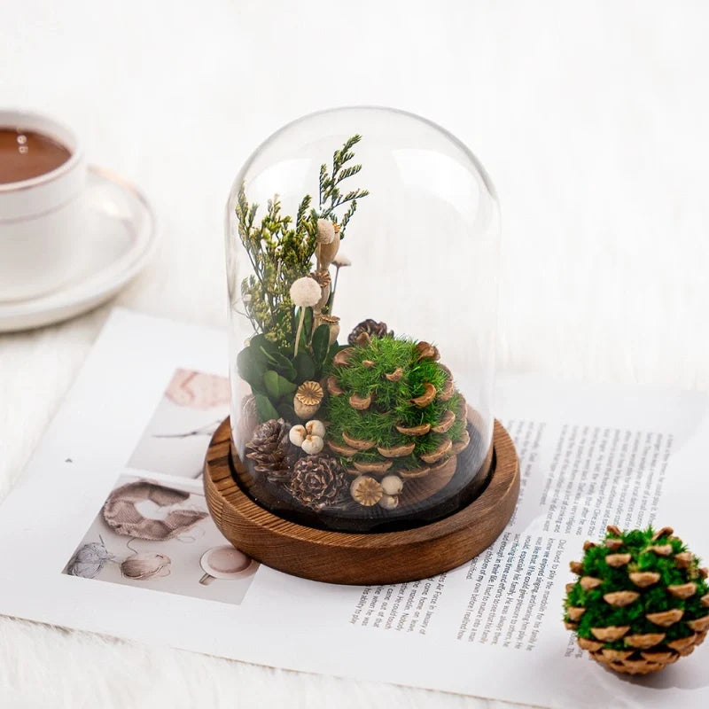 Dried Flower Glass Dome Night Light