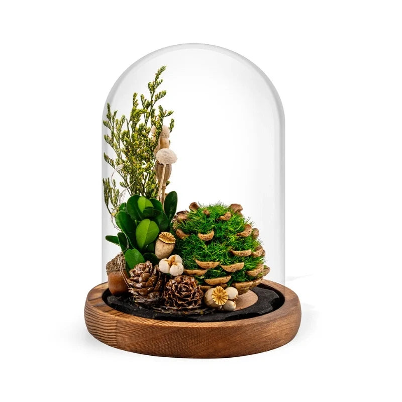 Dried Flower Glass Dome Night Light