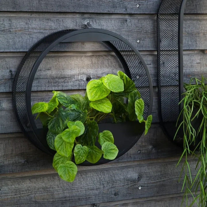 Solar Wall Light with Built-In Planter