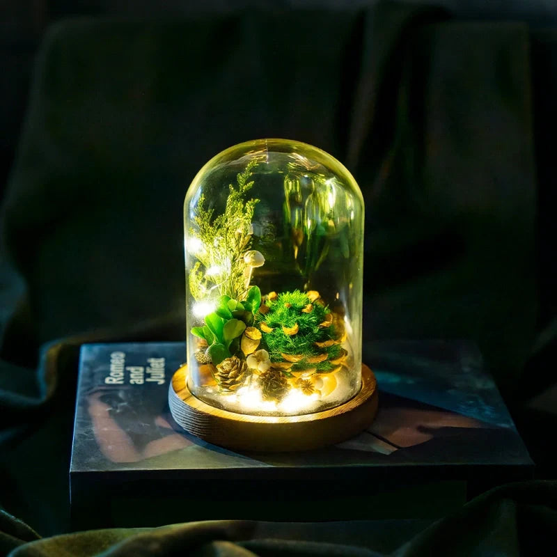 Dried Flower Glass Dome Night Light