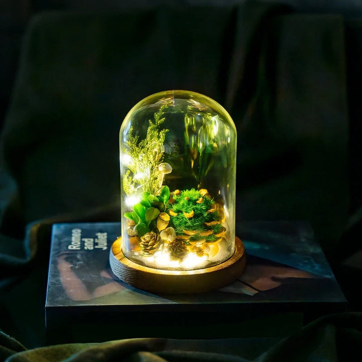 Dried Flower Glass Dome Night Light