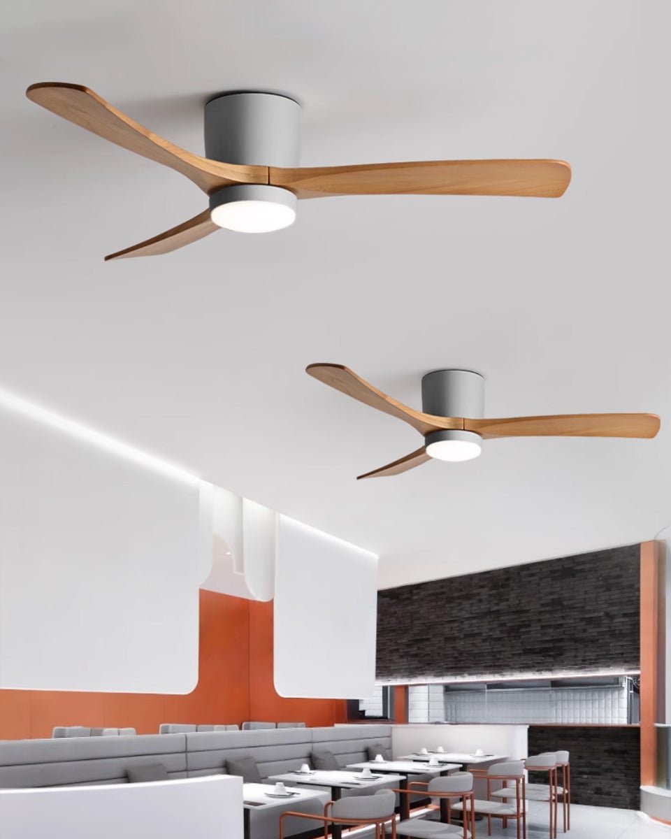 Elaerine Ceiling Fan Light