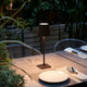 Tall Cordless Dimmable Table Lamp