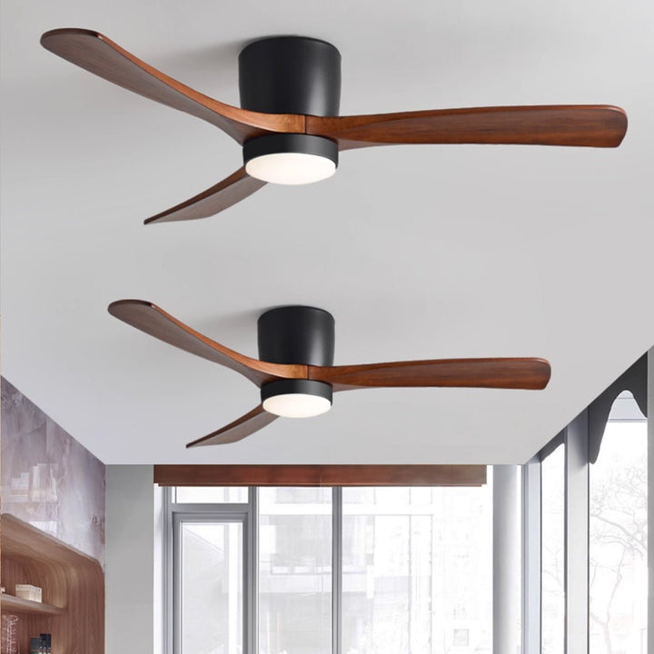 Elaerine Ceiling Fan Light