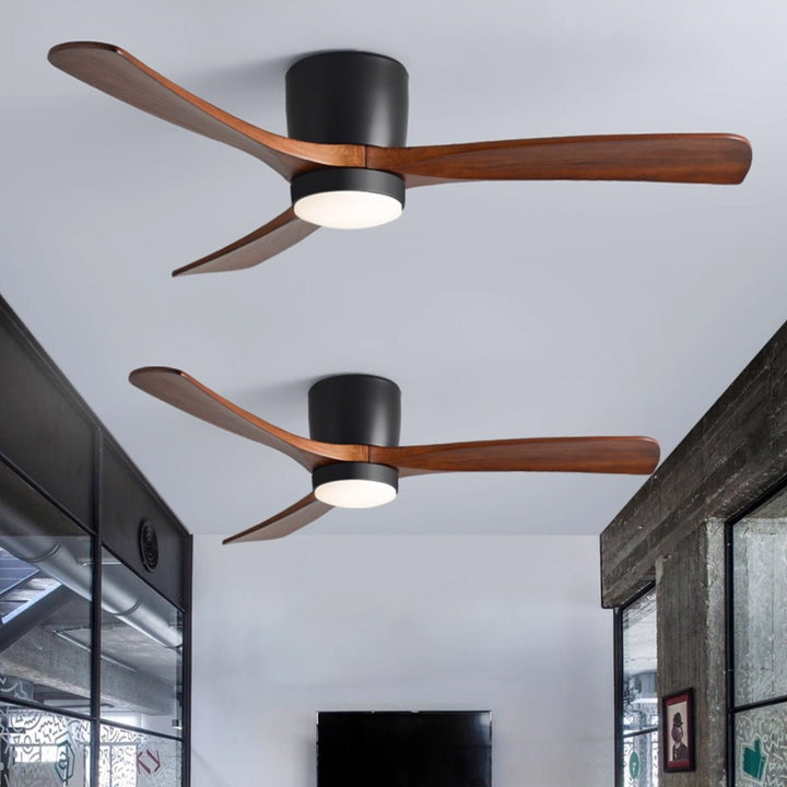 Elaerine Ceiling Fan Light