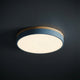 Wood Trim LED Flush Ceiling Light | Seven Colours, 30-60 cm