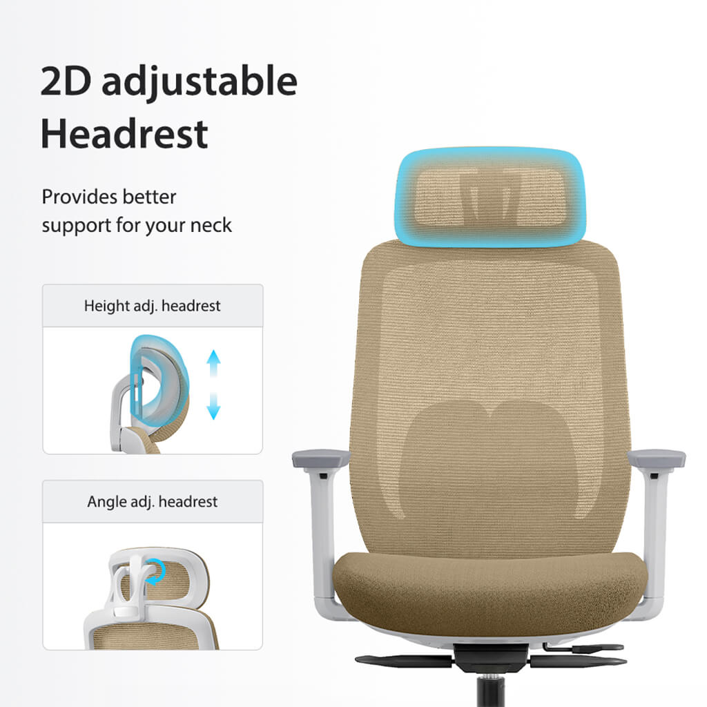Ergonomic High Back Mesh Office Chair