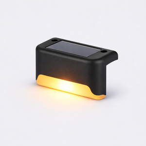 Black Shell Warm Light