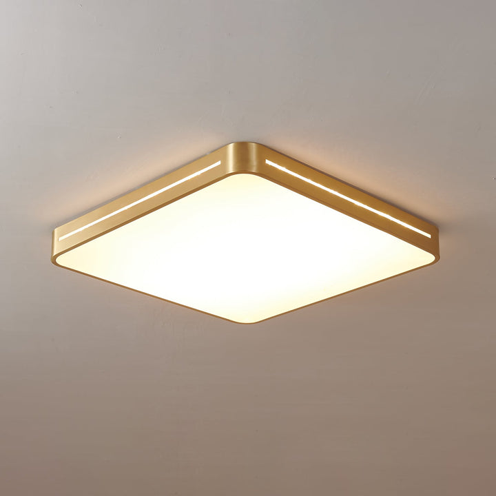 Eurcarara Modern Minimalist Brass Ceiling Light