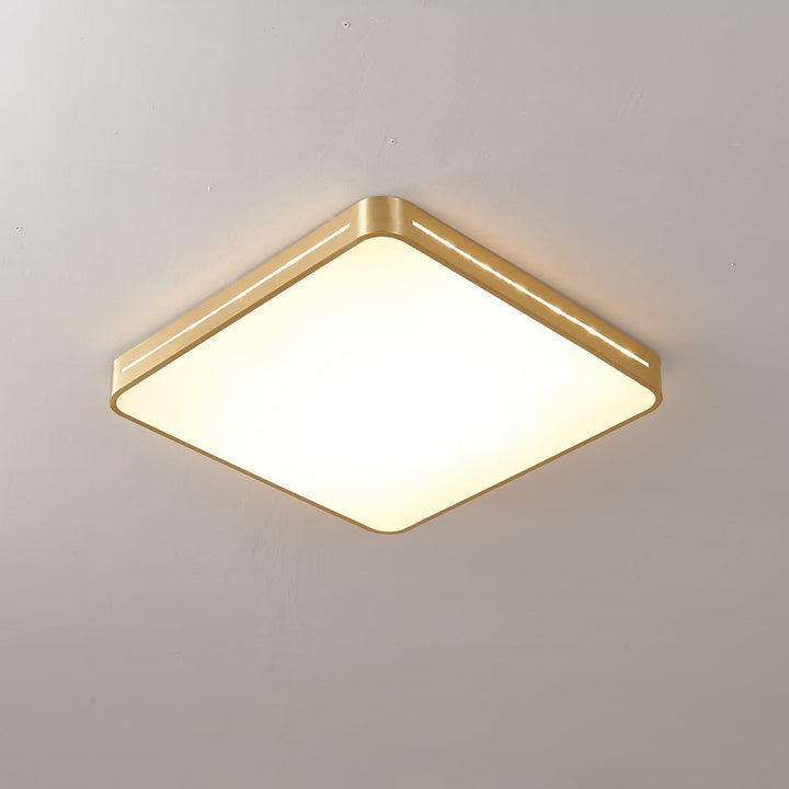 Eurcarara Modern Minimalist Brass Ceiling Light