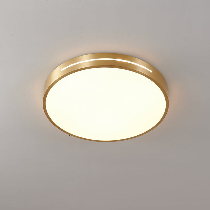 Eurcarara Modern Minimalist Brass Ceiling Light