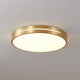 Eurcarara Modern Minimalist Brass Ceiling Light