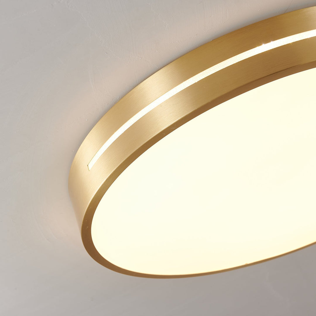 Eurcarara Modern Minimalist Brass Ceiling Light