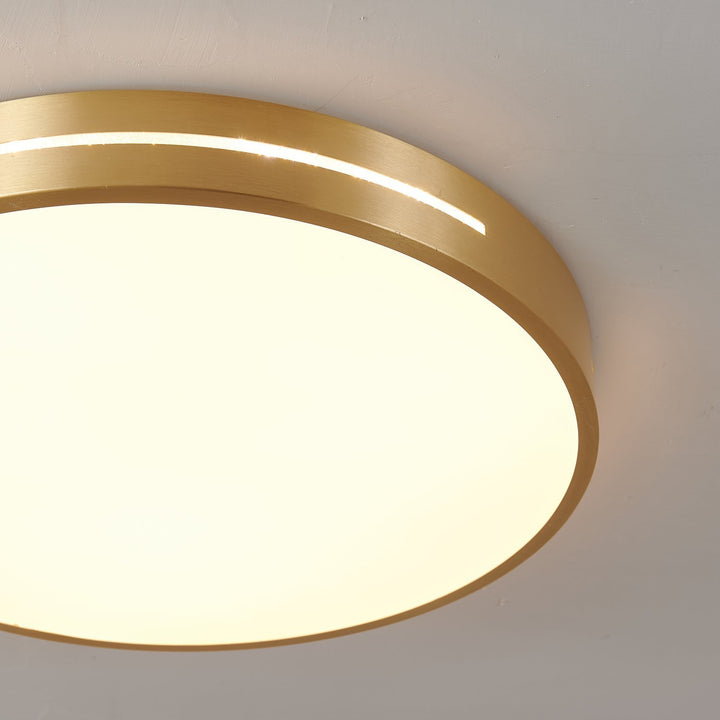 Eurcarara Modern Minimalist Brass Ceiling Light