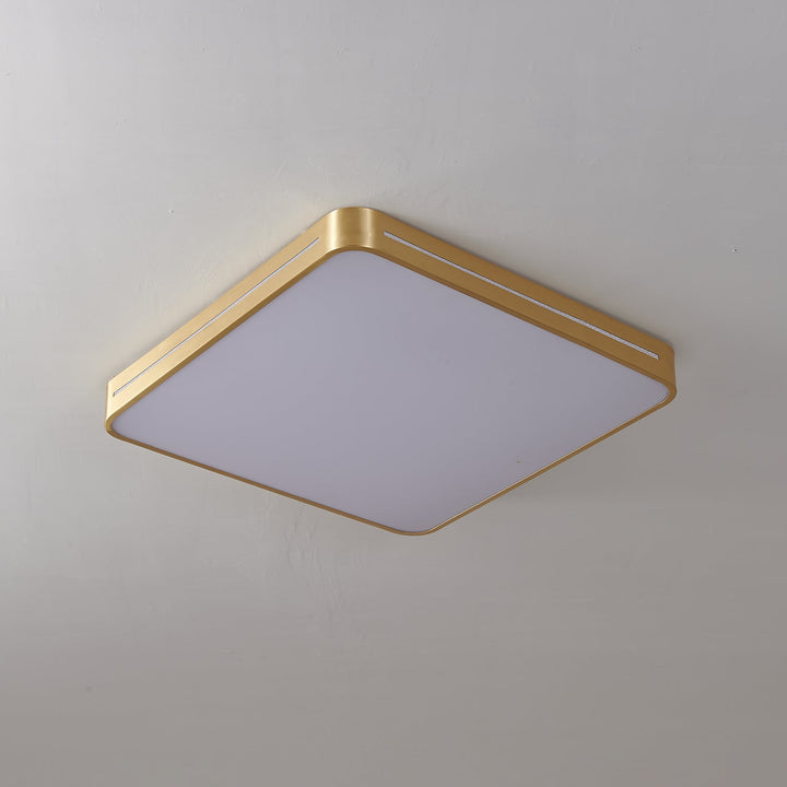 Eurcarara Modern Minimalist Brass Ceiling Light