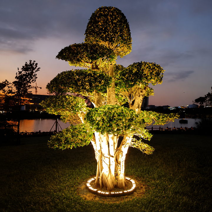 Outdoor Spotlight For Tree