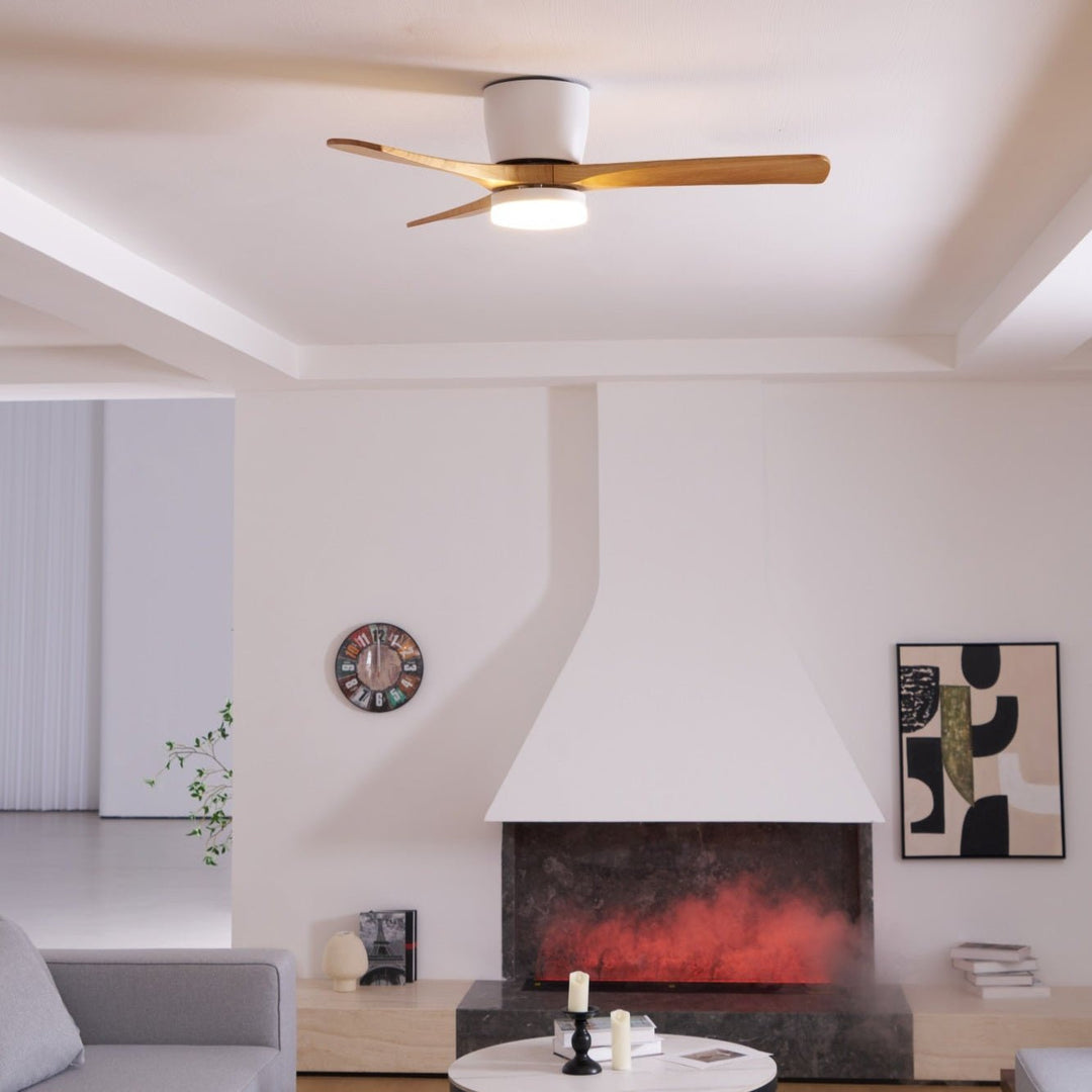 Elaerine Ceiling Fan Light
