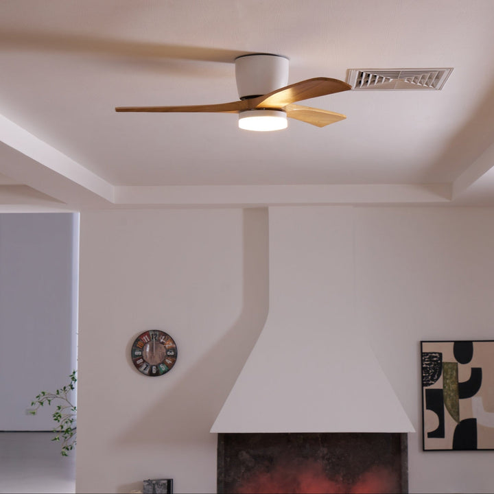 Elaerine Ceiling Fan Light