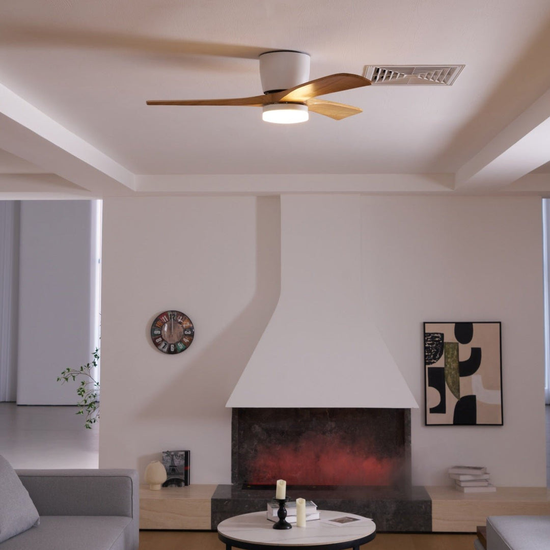 Elaerine Ceiling Fan Light