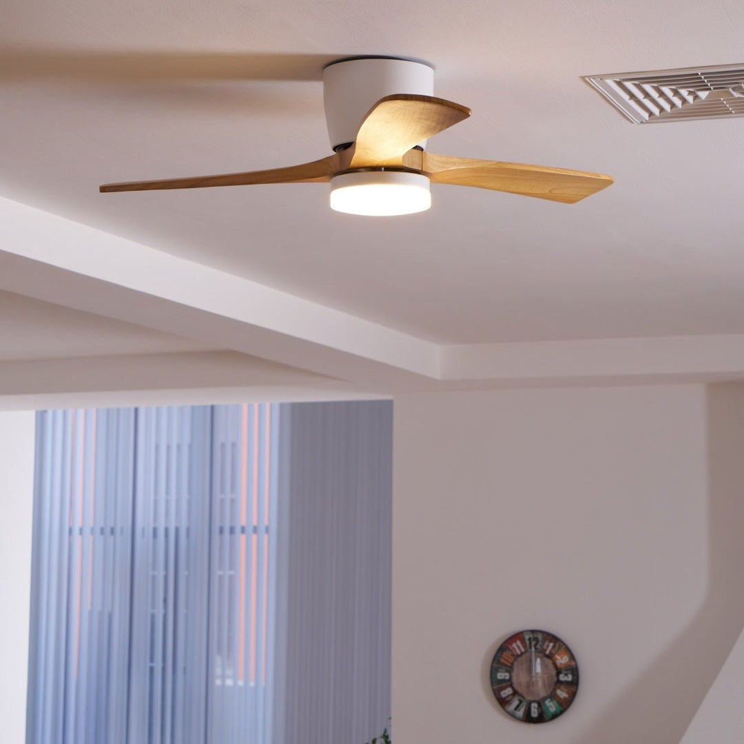 Elaerine Ceiling Fan Light