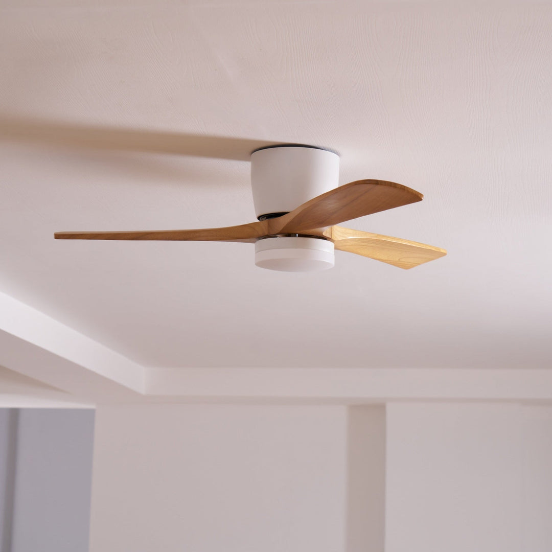 Elaerine Ceiling Fan Light