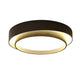 Flint Disc Ceiling Lamp