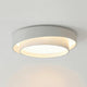 Flint Disc Ceiling Lamp