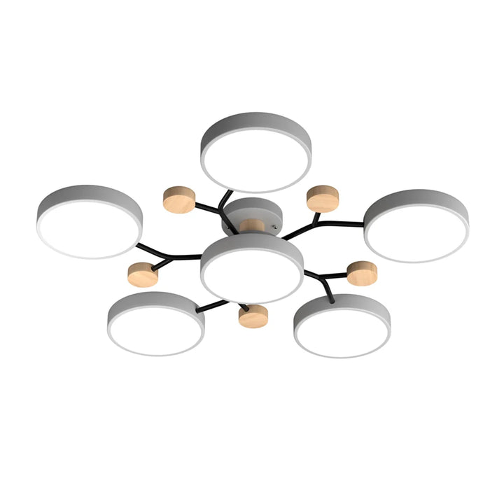 Murray Macaron Molecular LED Ceiling Light