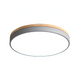 Nordic Round Flush Ceiling Light LED Light With Acrylic Diffuser in Gray