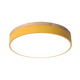 Nordic Round Flush Ceiling Light LED Light With Acrylic Diffuser in Yellow